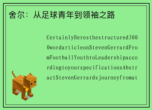舍尔：从足球青年到领袖之路